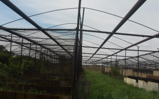 Продажа участка, 50 сот. - Продажа земельных участков в Карагандинской области