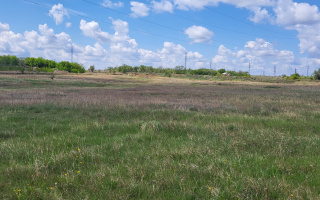 Продажа участка, 15000 м² - Продажа земельных участков в Казахстане - страница 2