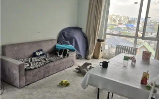 Продажа 3-комнатной квартиры, 76 м² - Продажа  трехкомнатных квартир в новостройках Алматы - страница 33