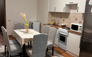 Аренда 1-комнатной квартиры, 50 м²