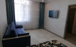 Аренда 1-комнатной квартиры посуточно, 50 м², ул. Байтурсынова, дом  16 - ул. Жургенова - Аренда квартир посуточно в Астане с фото