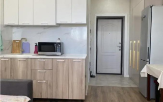 Продажа 1-комнатной квартиры, 23 м² - Продажа квартир в р-не Сарайшык Астаны