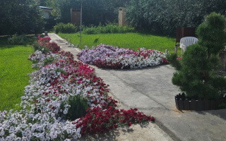 Продажа дачи, 6 сот. - Продажа дач в Темиртау