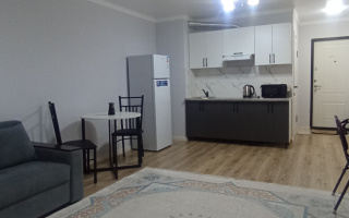 Аренда 1-комнатной квартиры, 30 м² - Аренда жилой и коммерческой недвижимости в Казахстане