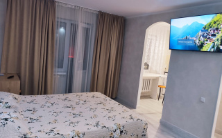 Аренда 1-комнатной квартиры посуточно, 30 м², ул. Кенесары, дом  50 - ул. Валиханова - Аренда  однокомнатных квартир посуточно в Астане без посредников с фото