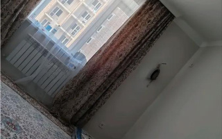 Продажа 1-комнатной квартиры, 40 м² - Недвижимость в Астане - страница 24