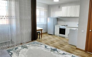 Продажа 1-комнатной квартиры, 29 м² - Продажа квартир в Астане - страница 39