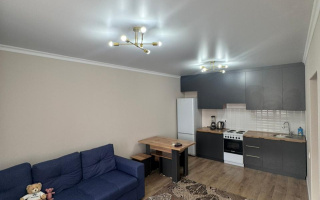 Аренда 2-комнатной квартиры, 43 м² - Аренда квартир помесячно в Казахстане - страница 3