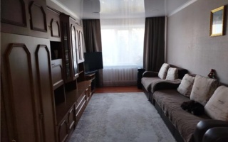 Продажа 3-комнатной квартиры, 65 м² - Продажа квартир в панельном доме в Казахстане - страница 3