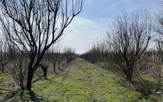 Продажа участка, 2 га - Продажа земельных участков в Шымкенте в Абайском р-не