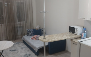 Аренда 1-комнатной квартиры посуточно, 30 м², ул. Садвакасова, дом  35 - Абая-Момышулы - Аренда квартиры посуточно в Алматы