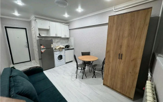 Продажа 1-комнатной квартиры, 19 м² - Продажа однокомнатных квартир в Алматы - страница 9