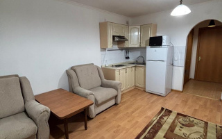 Аренда 1-комнатной квартиры, 29 м² - Аренда недвижимости в Астане