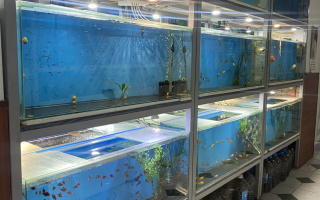 Продажа , 60 м², ул. Казахстанская, дом  22 - Продажа действующего бизнеса в Караганде