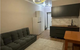 Продажа 1-комнатной квартиры, 20.15 м² - Продажа квартир в Астане - страница 3