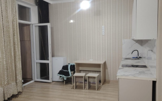 Аренда 1-комнатной квартиры, 30 м² - Аренда квартир помесячно в Казахстане