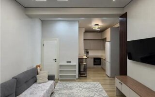 Продажа 2-комнатной квартиры, 50 м² - Продажа двухкомнатных квартир в Алматы - страница 3