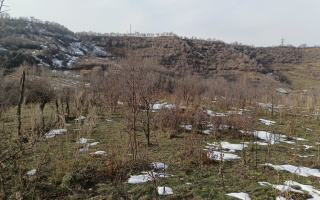 Продажа участка, 6000 м² - Продажа земельных участков в Алматы