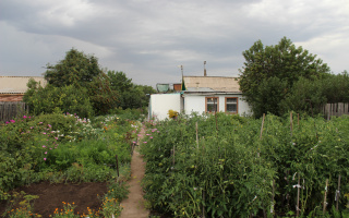Продажа дачи, 8 сот., ул. Прогресса - Продажа дач в Караганде
