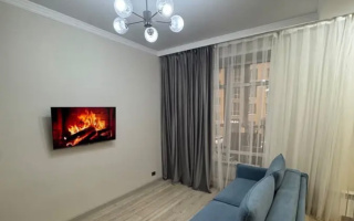 Аренда 2-комнатной квартиры, 53.3 м² - Аренда двухкомнатных квартир помесячно в Астане