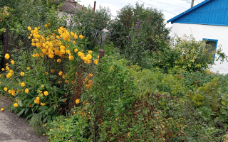 Продажа 4-комнатного дома, 89 м², ул. Желтоксан, дом  50 - Продажа домов, коттеджей в Астане с фото
