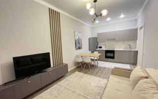Аренда 2-комнатной квартиры, 45 м² - Аренда двухкомнатных квартир помесячно в р-не Нура Астаны