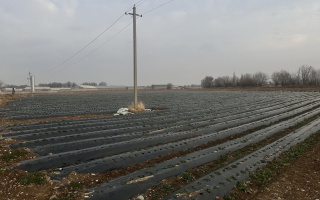 Продажа участка, 4.32 га - Продажа земельных участков в Шымкенте в Каратауском р-не