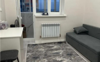 Продажа 1-комнатной квартиры, 22 м² - Продажа однокомнатных квартир от собственников в Астане - страница 3