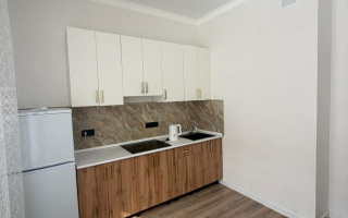 Аренда 1-комнатной квартиры, 39 м² - Аренда квартир помесячно в Астане