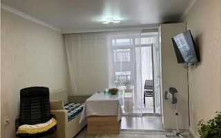 Продажа 1-комнатной квартиры, 30.5 м² - Продажа однокомнатных квартир в кирпичном доме в Казахстане - страница 2