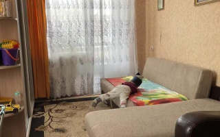 Продажа 1-комнатной квартиры, 30 м², ул. Белинского, дом  13 - Продажа  однокомнатных квартир в Караганде