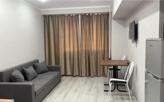 Продажа 1-комнатной квартиры, 20 м² - Продажа однокомнатных квартир от собственников в Алматы - страница 12